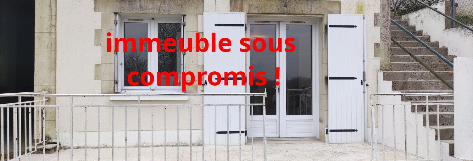 Immeuble  226 m² à vendre à Savonnières (37510)