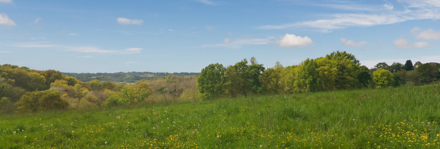 Terrain  7934 m² à vendre à Orthez (64300)