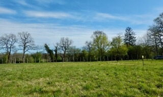 Photo N° 3