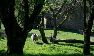 Maison 5 Pièces 96 m² à vendre à Lure (70200)