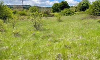 Photo N° 3