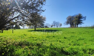 Photo N° 5
