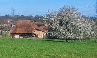 Photo N° 6