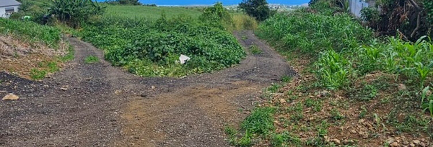 Terrain  1435 m² à vendre à Saint-Paul (97435)