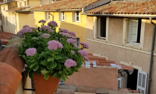 Photo N° 8