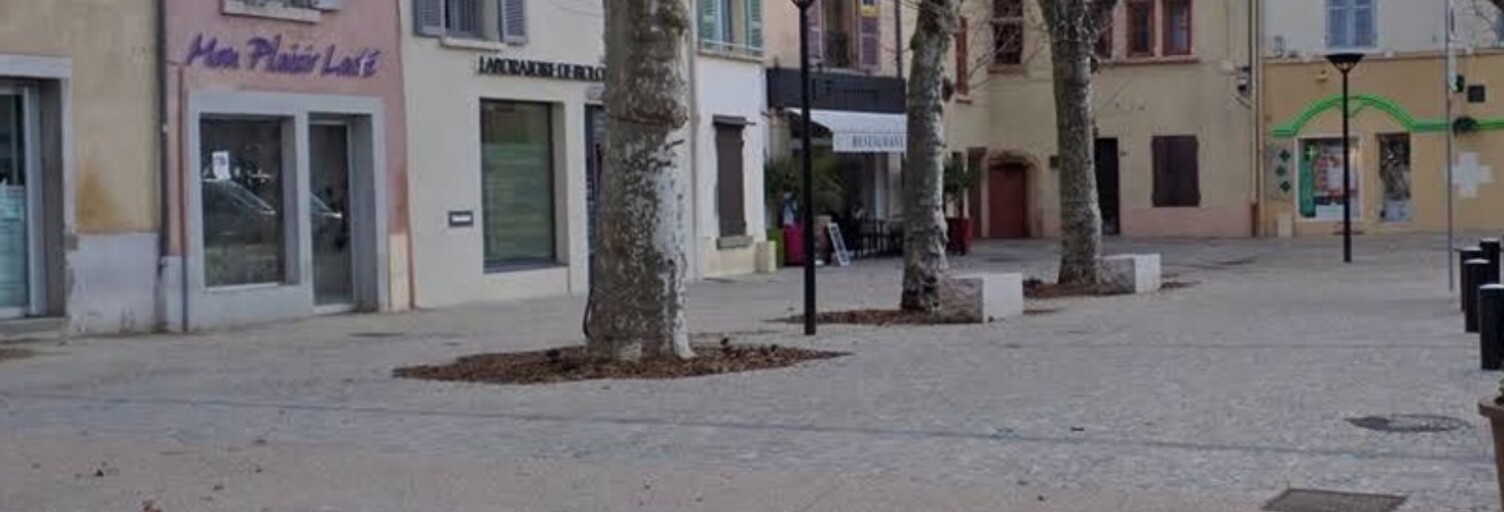 Commerce  74 m² à louer à Brignais (69530)