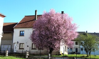 Maison 4 Pièces 107 m² à vendre à Richeling (57510)