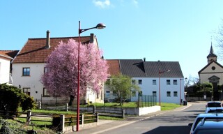 Photo N° 3