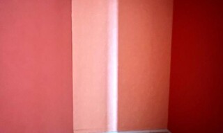 Photo N° 9