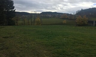 Photo N° 4
