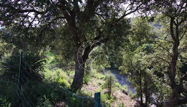 Terrain  à vendre Issambres (Les) 83380