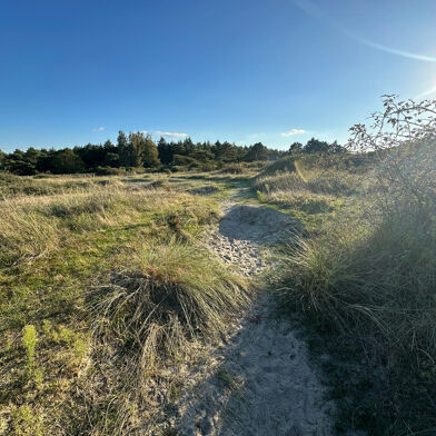 Terrain  22000 €