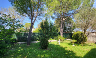Photo N° 4