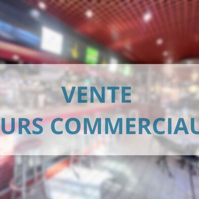 Commerce  359000 €