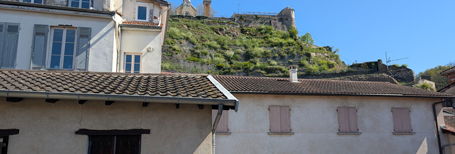 Appartement 2 Pièces 49 m² à vendre à Vienne (38200)