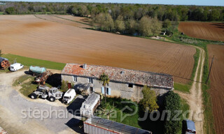 Photo N° 4