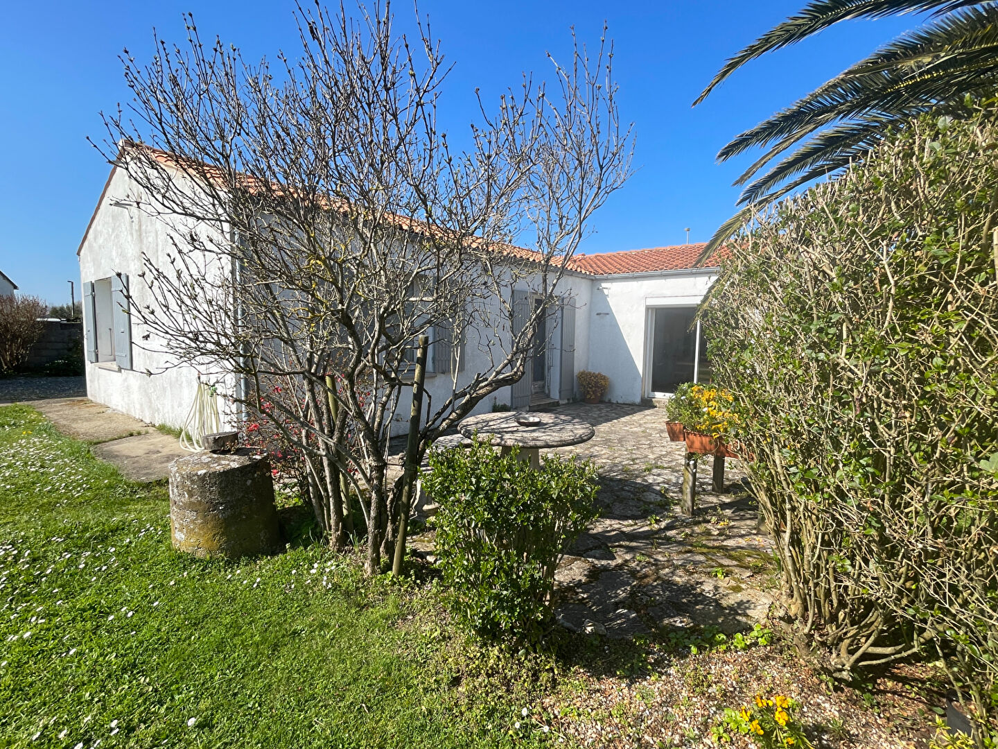 Villa / Maison  T5 à vendre Brée-les-Bains (La) 17840