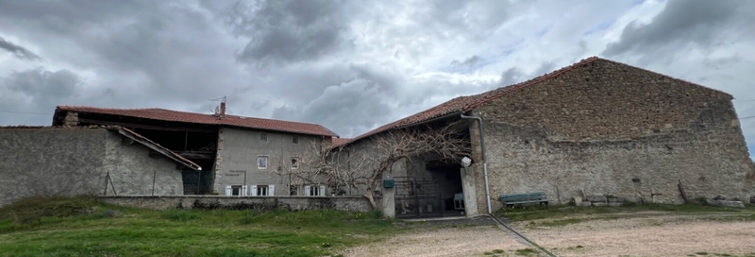 Maison 10 Pièces 470 m² à vendre à Saint-Pierre-du-Champ (43810)