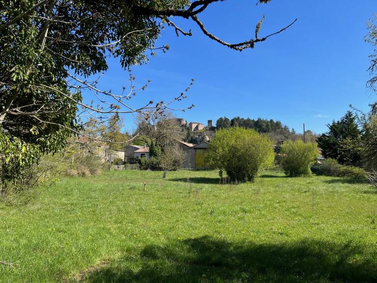 Terrain — photo 1