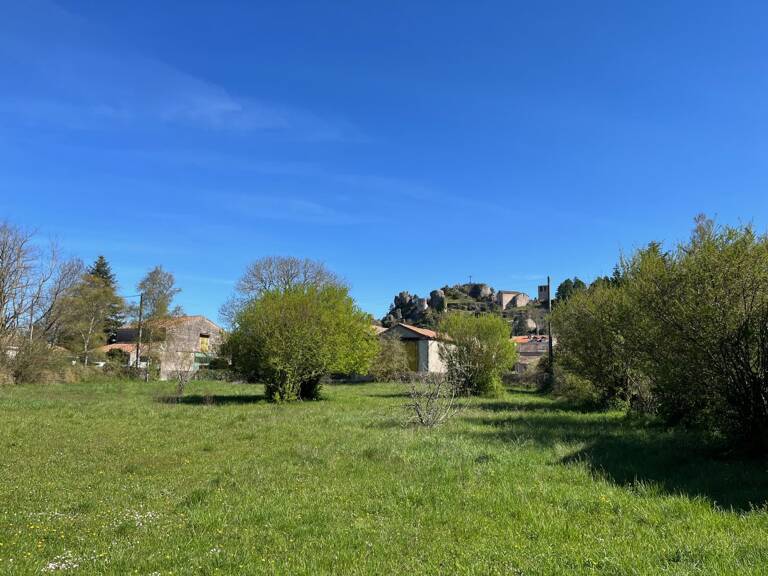 Terrain — photo 1