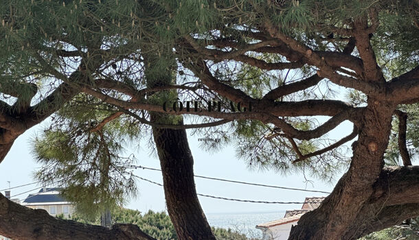 Appartement 4 pièces  à louer Royan 17200