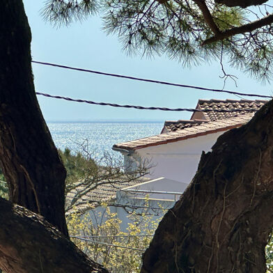 Appartement 4 pièces 820 €