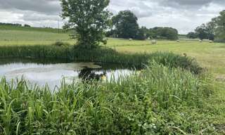 Maison 11 Pièces 280 m² à vendre à Curac (16210)