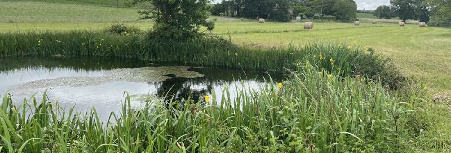 Maison 11 Pièces 280 m² à vendre à Curac (16210)