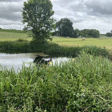 Maison 11 pièces 223650 €