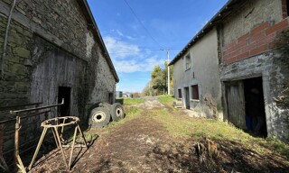 Photo N° 6