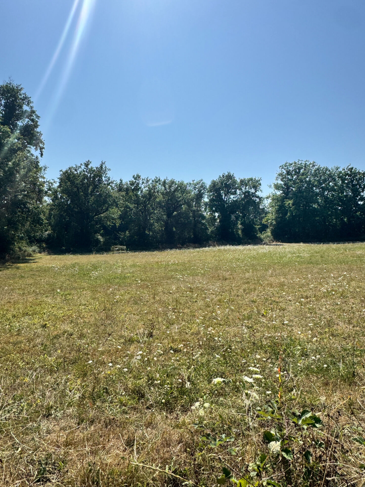 Terrain  à vendre Flavin 12450