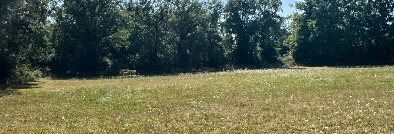 Terrain  907 m² à vendre à Flavin (12450)