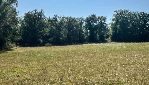 Terrain  à vendre Flavin 12450