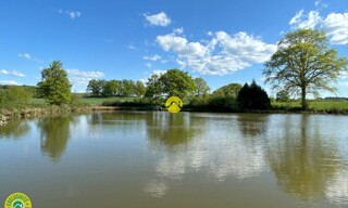 Photo N° 3