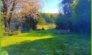 Photo N° 3