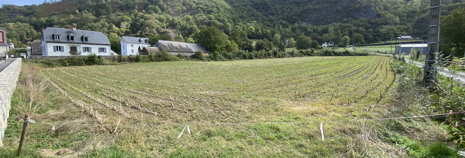 Terrain  1318 m² à vendre à Ger (65100)