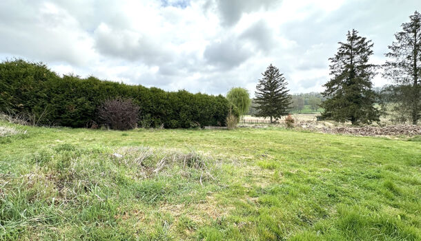 Terrain  à vendre Gueux 51390