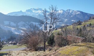 Photo N° 6