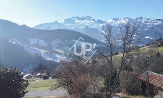 Photo N° 9