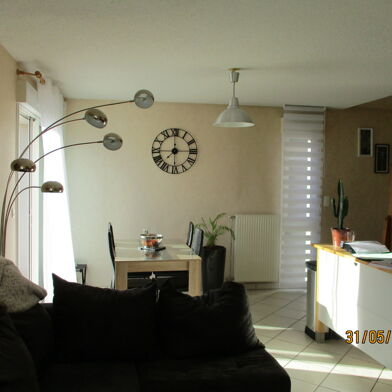 Appartement 3 pièces 516 €