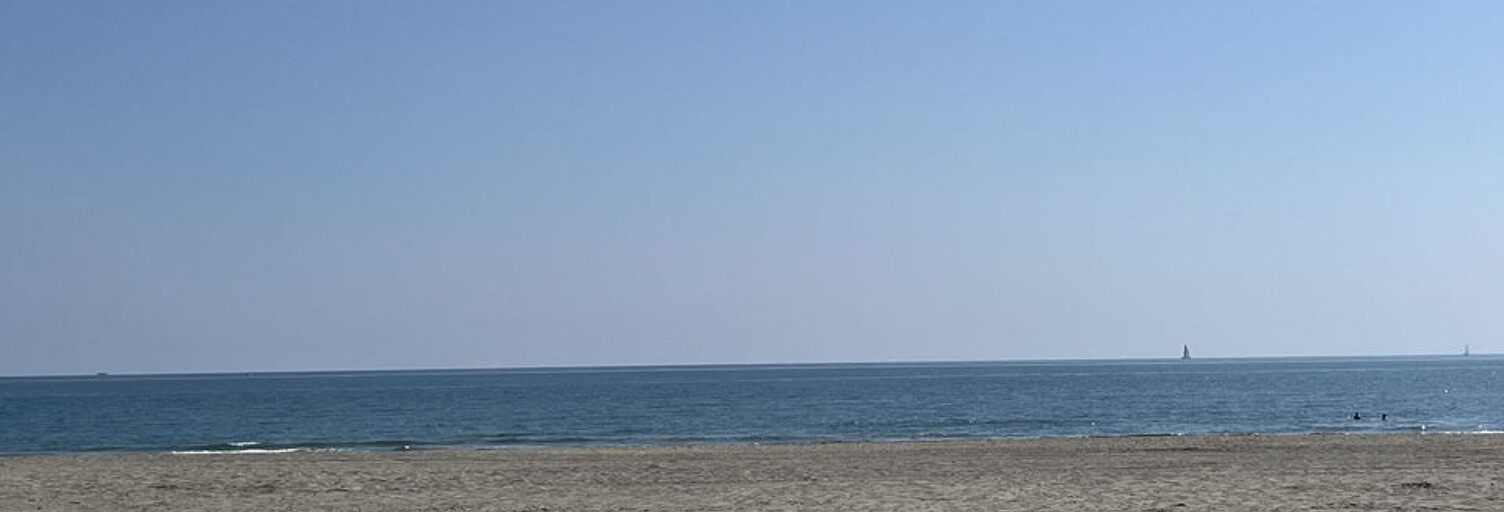 Commerce 3 Pièces 80 m² à vendre à Canet-en-Roussillon (66140)