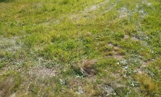 Photo N° 4