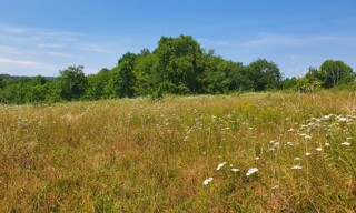Terrain  835 m² à vendre à Cubnezais (33620)