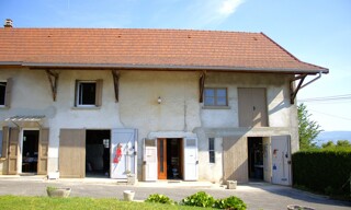 Photo N° 4