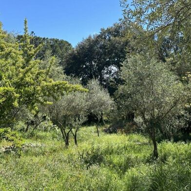 Terrain  136000 €