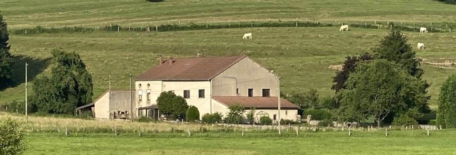 Maison 13 Pièces 390 m² à vendre à Escles (88260)