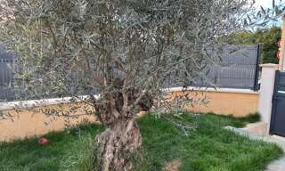 Maison 6 Pièces 135 m² à vendre à Montélimar (26200)