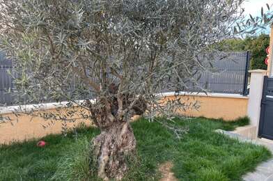 Maison 6 pièces 325000 €