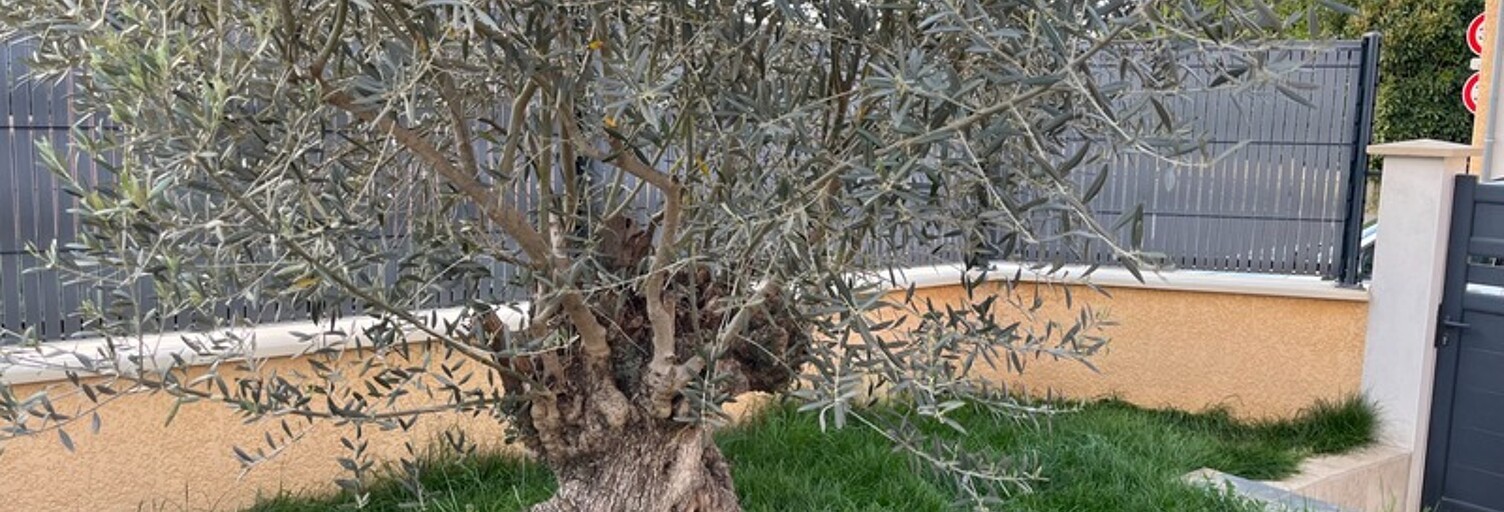 Maison 6 Pièces 135 m² à vendre à Montélimar (26200)