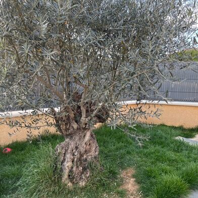 Maison 6 pièces 325000 €